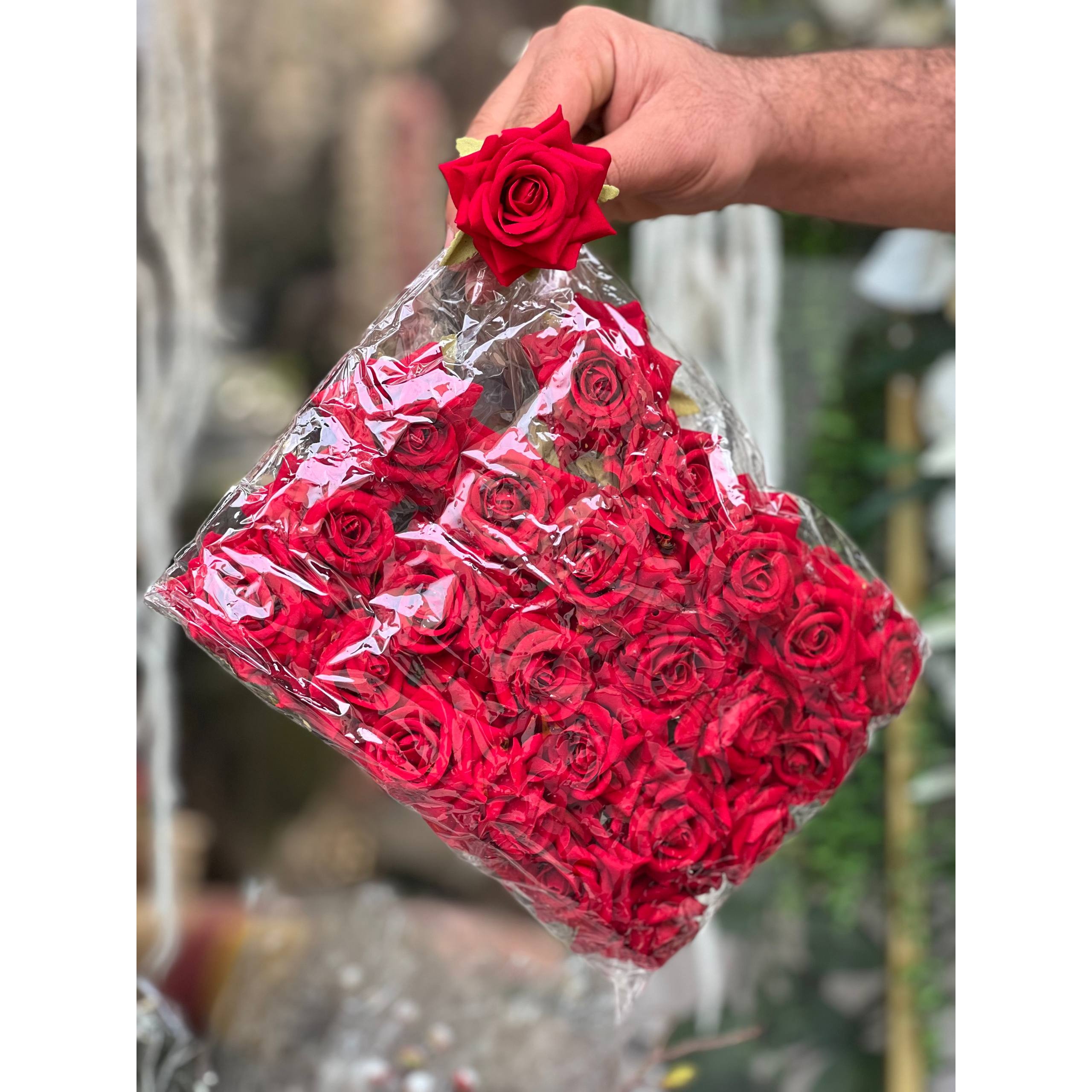 سرگل رز مخملی قرمز بسته24عددی