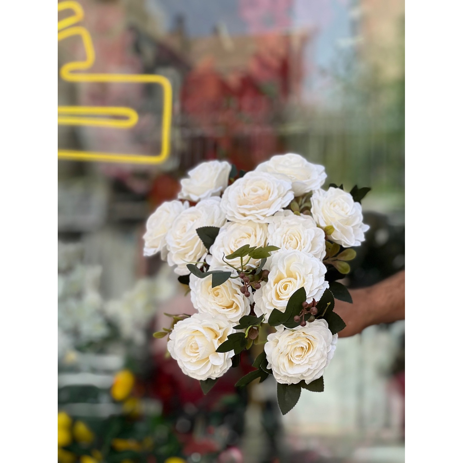 بوته گل رز مدل باز6گل (ارتفاع33سانتی)