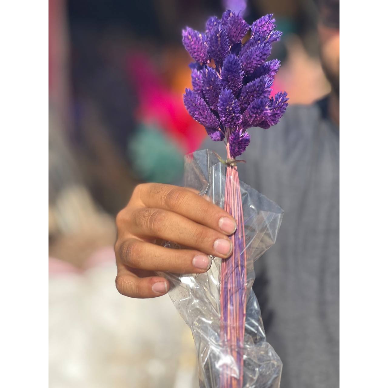 گل خشک توت فرنگی بنفش