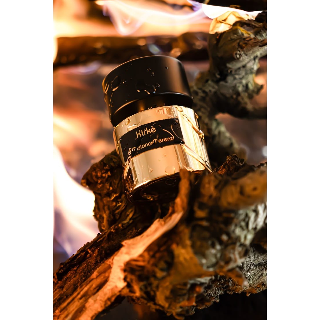 عطر گرمی تیزیانا ترنزی کرکه