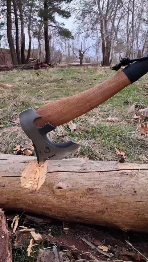 تبر طبیعت گردی ارسلان مدل T4 سایز دسته 60 سانتی