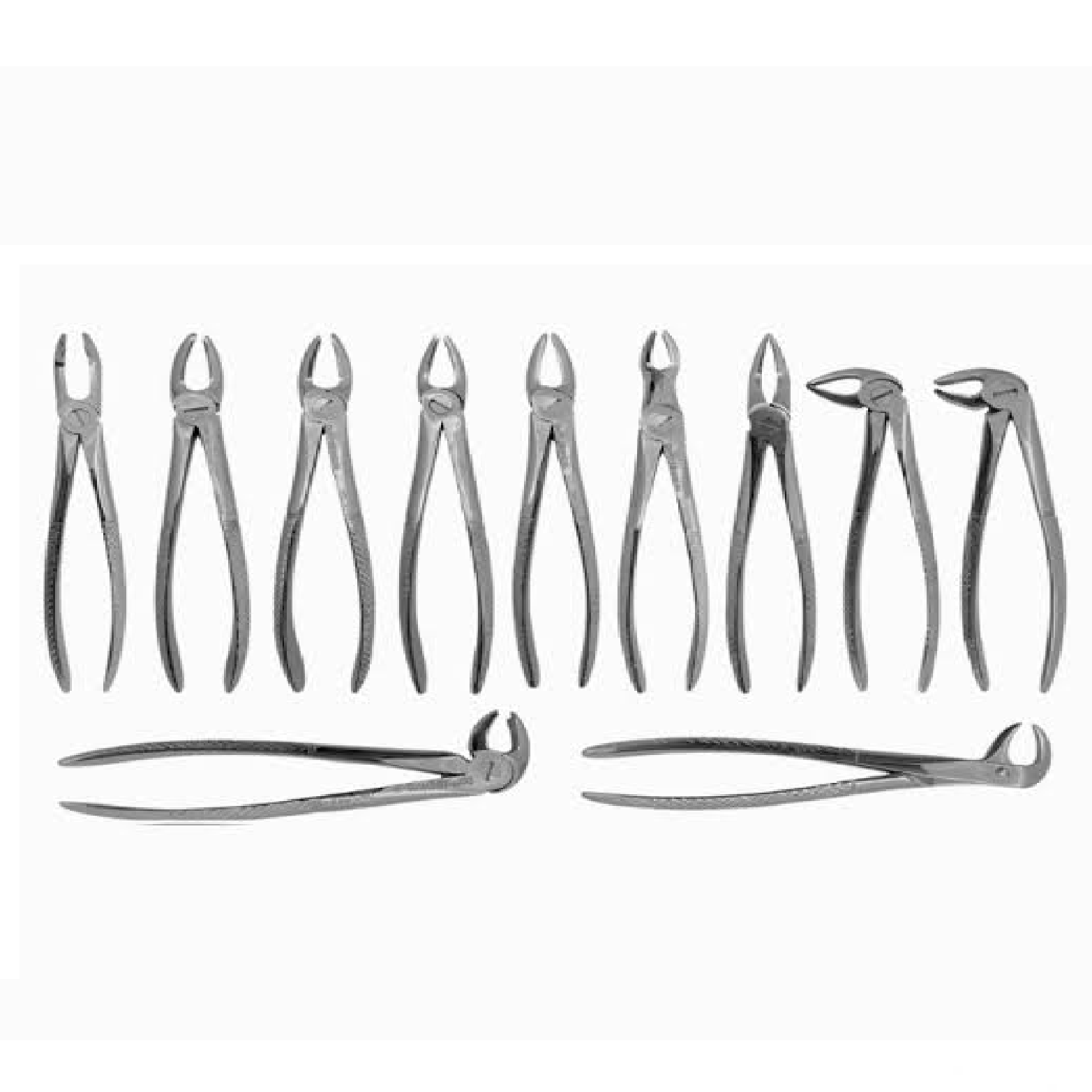 ست فورسپس 11 عددی بزرگسال پیشرو ا set of extraction forceps