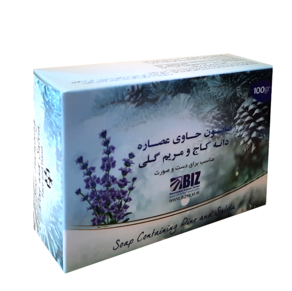 صابون دست و صورت دانه کاج و مریم گلی پک 3 عددی