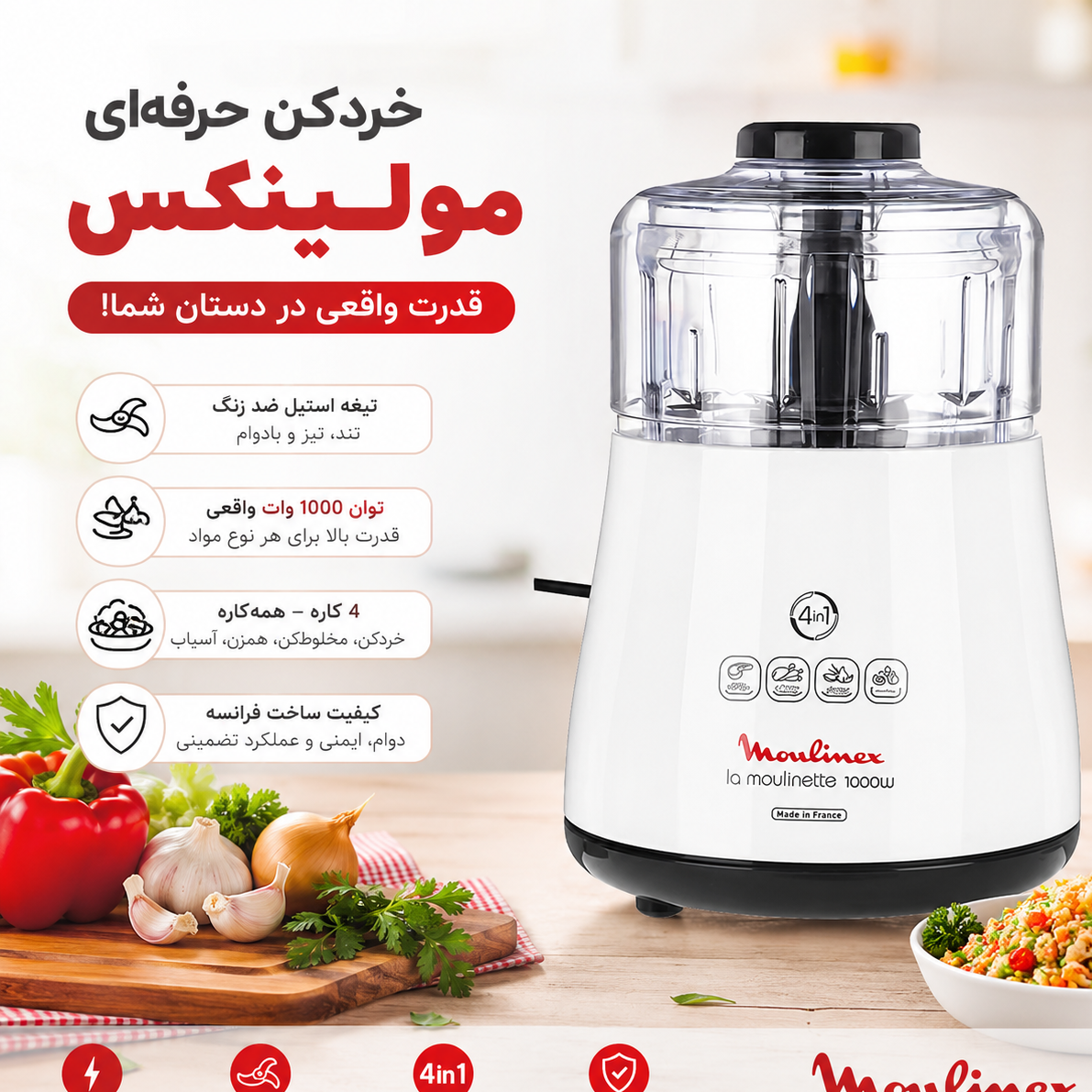 خردکن مولینکس برقی 123