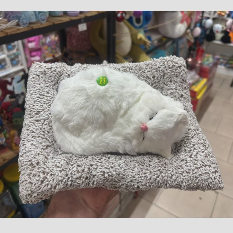 عروسک گربه خوابیده 25سانتی موزیکال(پس کرایه)