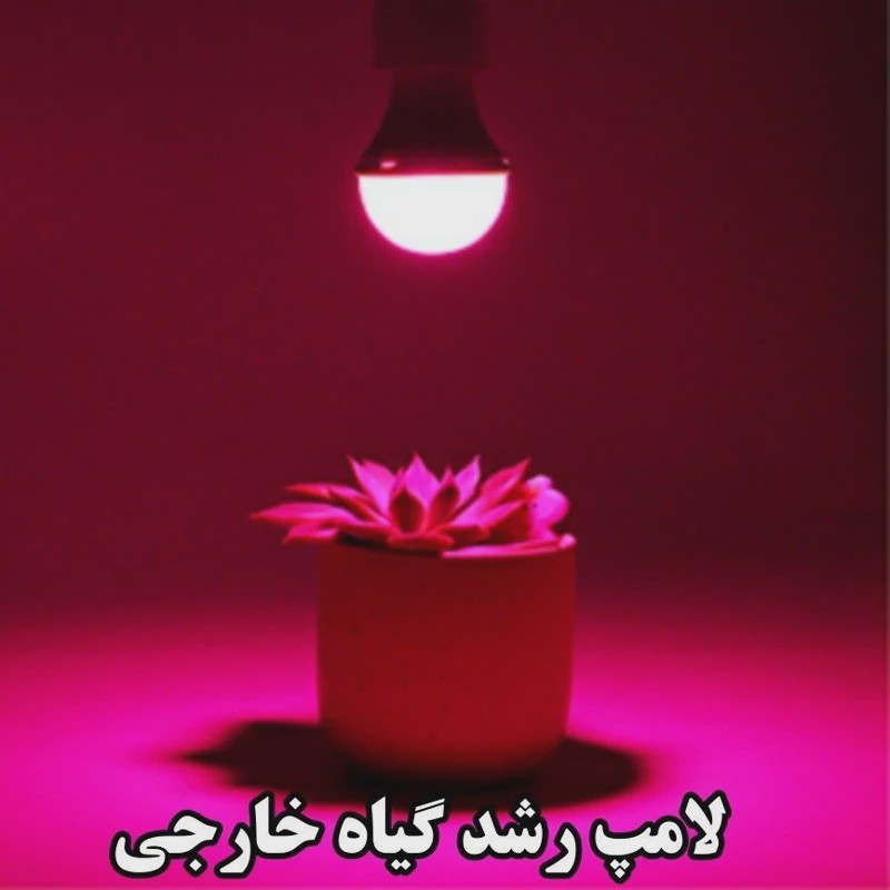لامپ رشد گیاه حبابی 6وات- باکیفیت مطلوب و زاویه 240درجه مناسب رشد گیاهان