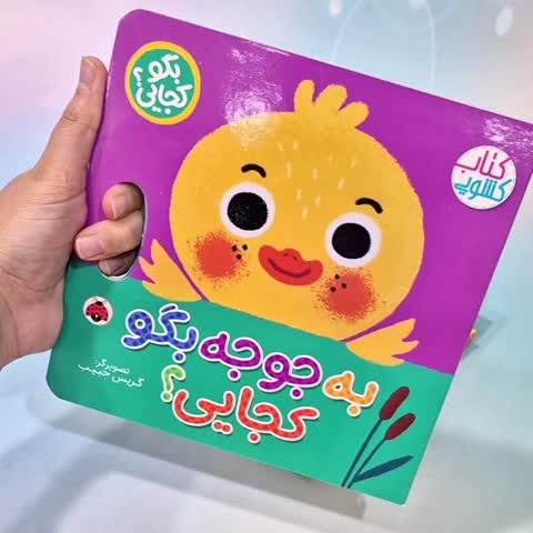 کتاب شعر کودک کشویی و دالی بازی به همراه آینه مناسب از 6 ماه تا 3 سال