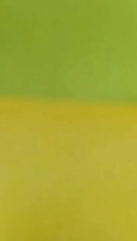 شامپوبدن آلوئه ورا پامنت