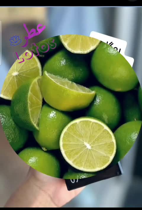 عطر گرمی بوگارت( لوزی LUZI)