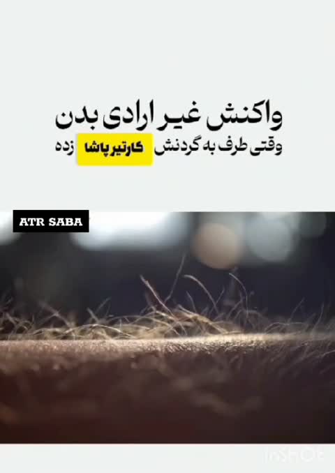 عطرکارتیر پاشا مردانه (گرمو ملایم چوبی معطر)لوزی