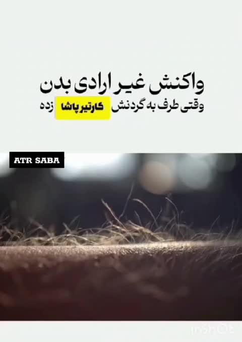 عطر کار تیر پاشا 