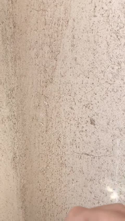 گیره فرانسوی با ورق نقره و طلا در رنگ دلخواه