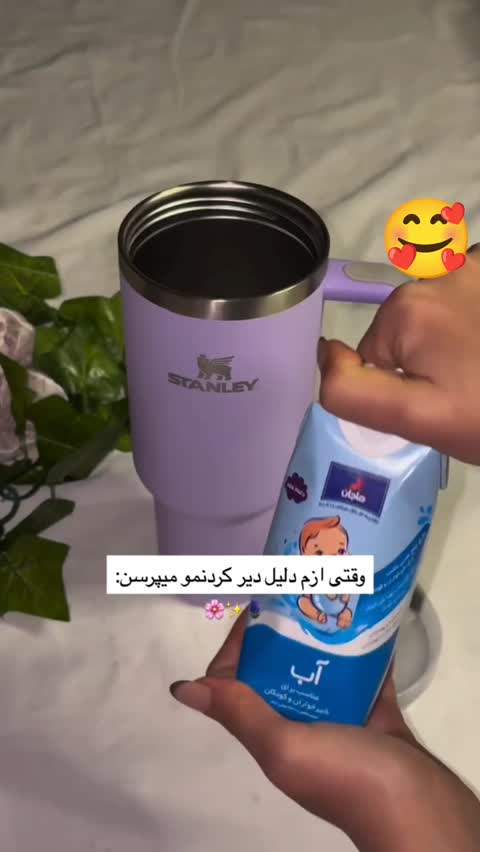 استنلی اورجینال ماگ دسته دار دوجداره نی دار وارداتی نگهدارنده دما برای سفر و باشگاه 