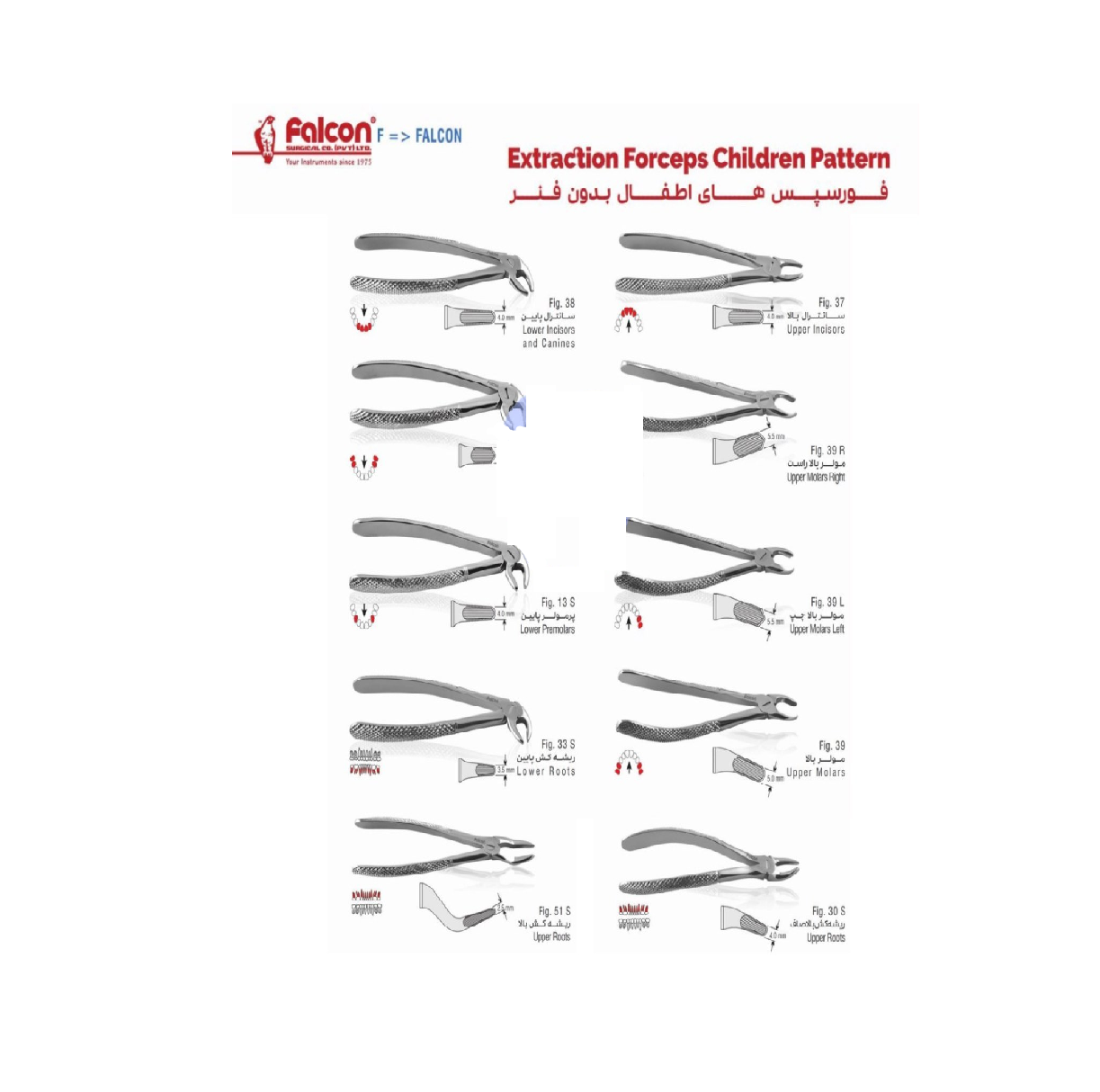 فورسپس اطفال بدون فنر فالکن - fig39- (پرمولر بالا ا Falcon Dental Forceps)