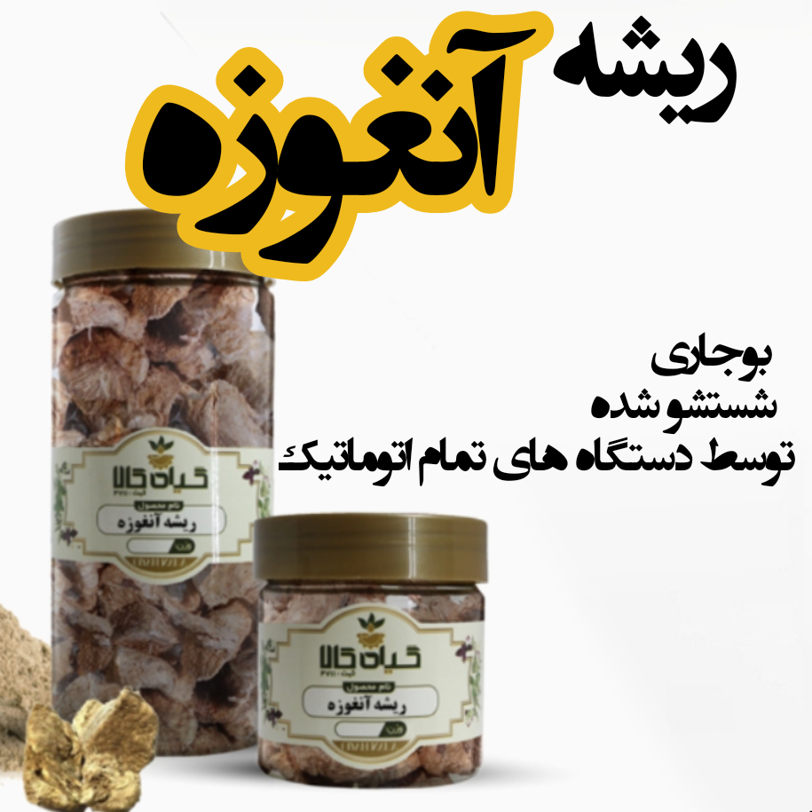 ریشه آنغوزه خشک یا پودر شده / شستشو و بوجاری شده توسط دستگاه های تمام اتوماتیک 