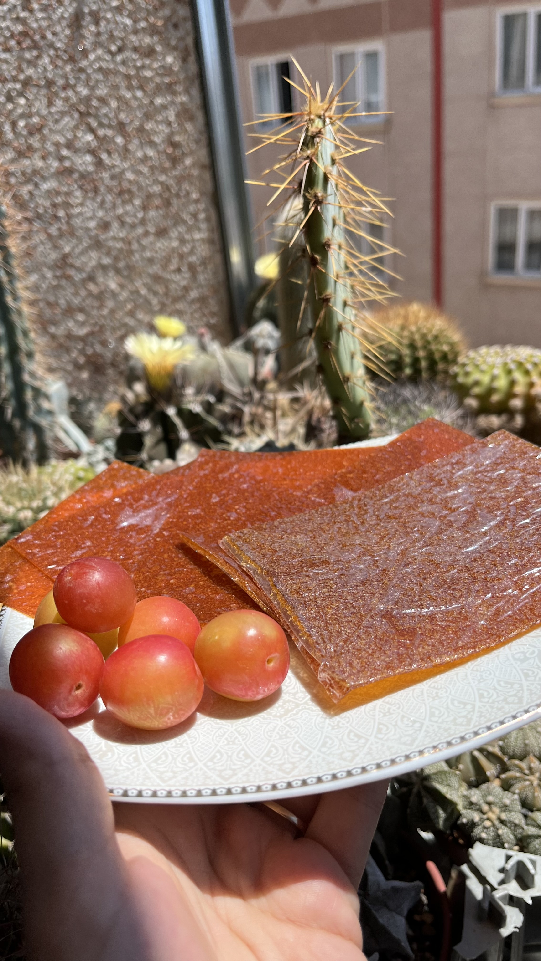 لواشک آلوچه جنگلی خیلی ترش(200گرمی)خوشمزه جان 