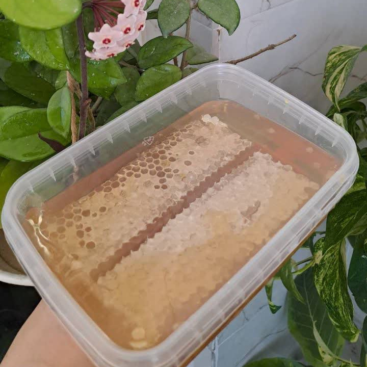 عسل طبیعی بهاره با موم
