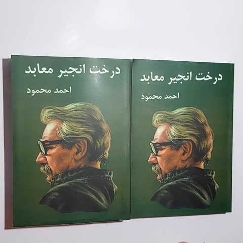 کتاب درخت انجیر معابد (دو جلدی) اثر احمد محمود (نسخه کامل)