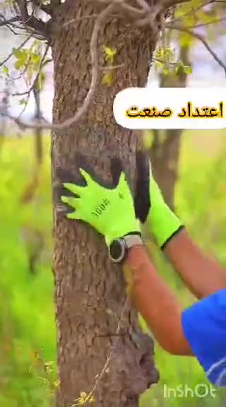 دستکش ضد حرارت وبرش