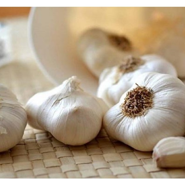 عرق سیر جان افزا