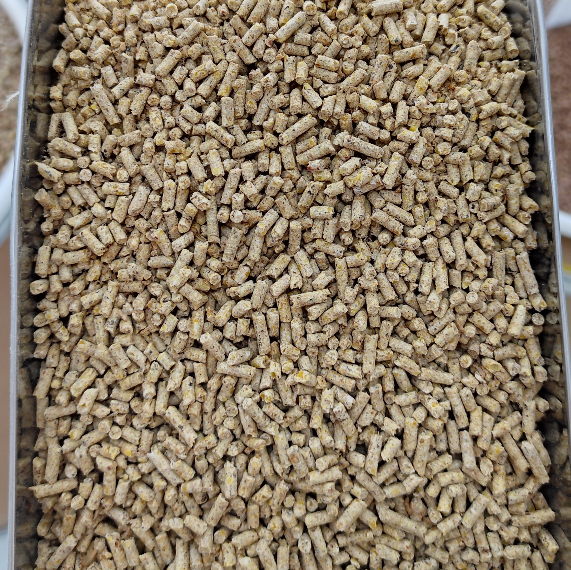 کنجاله سویا(پلت) اعلاء