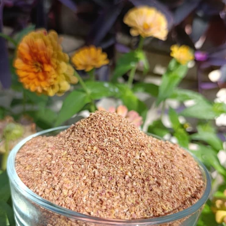 سماق کوهی