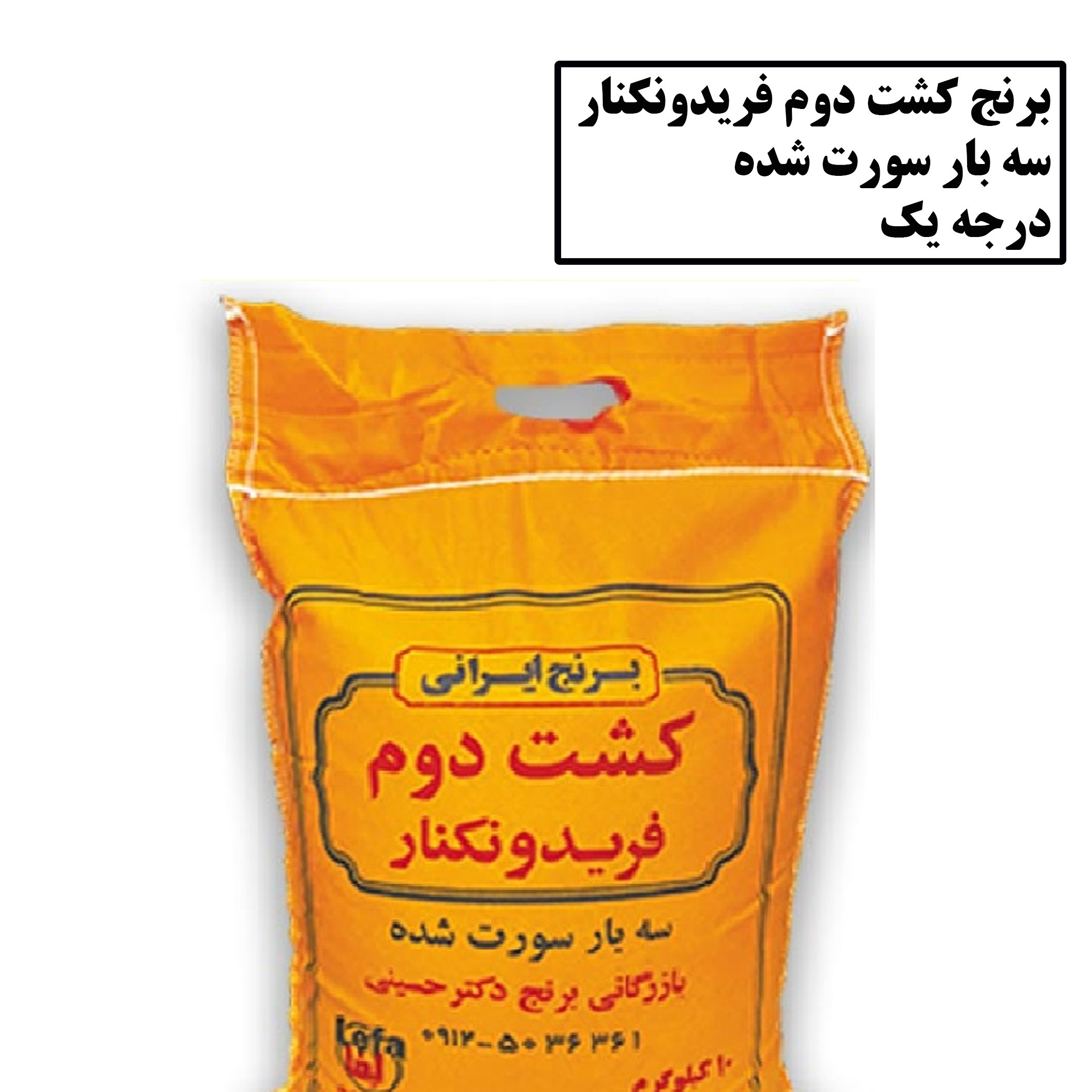برنج کشت دوم فریدونکنار