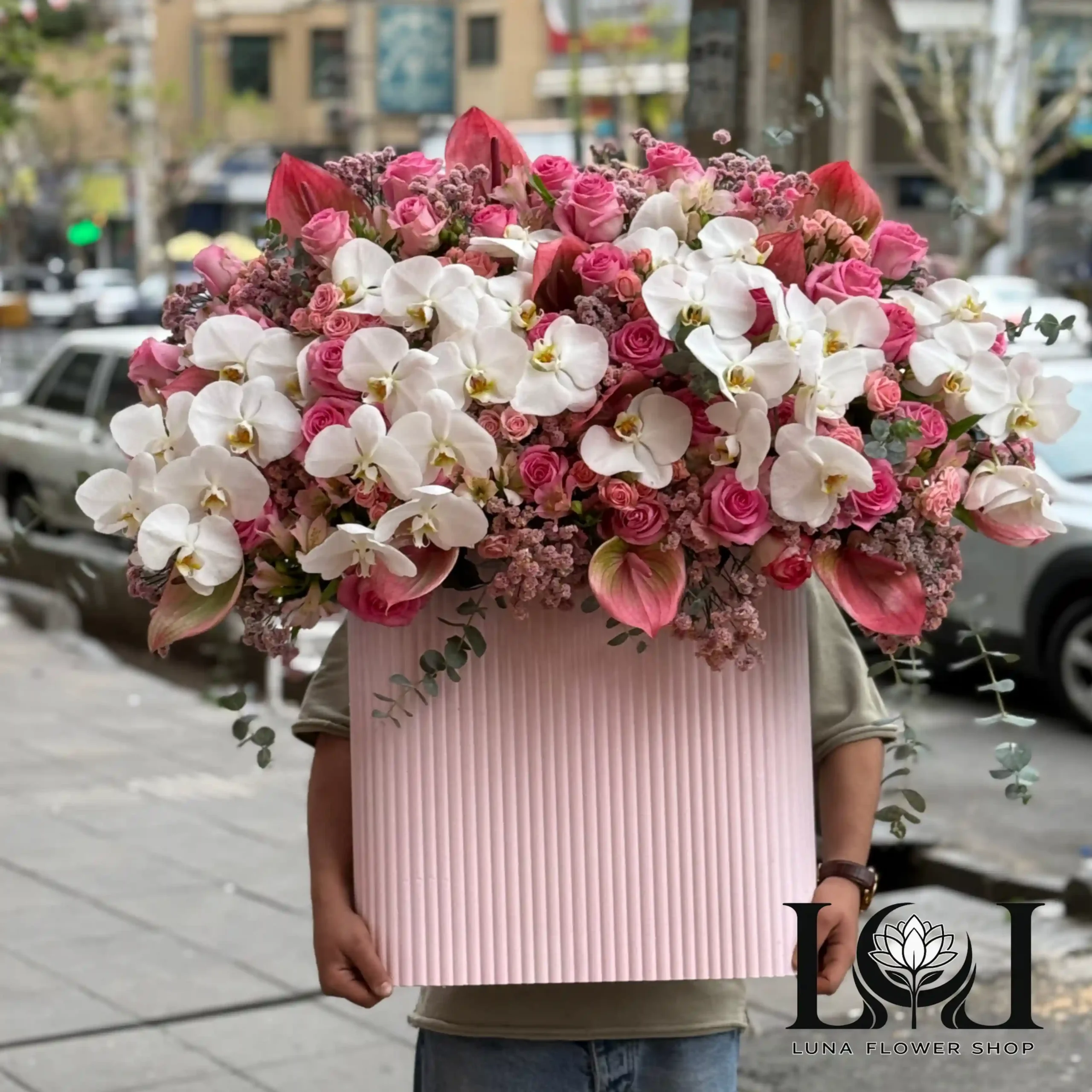 باکس ارکیده BL112