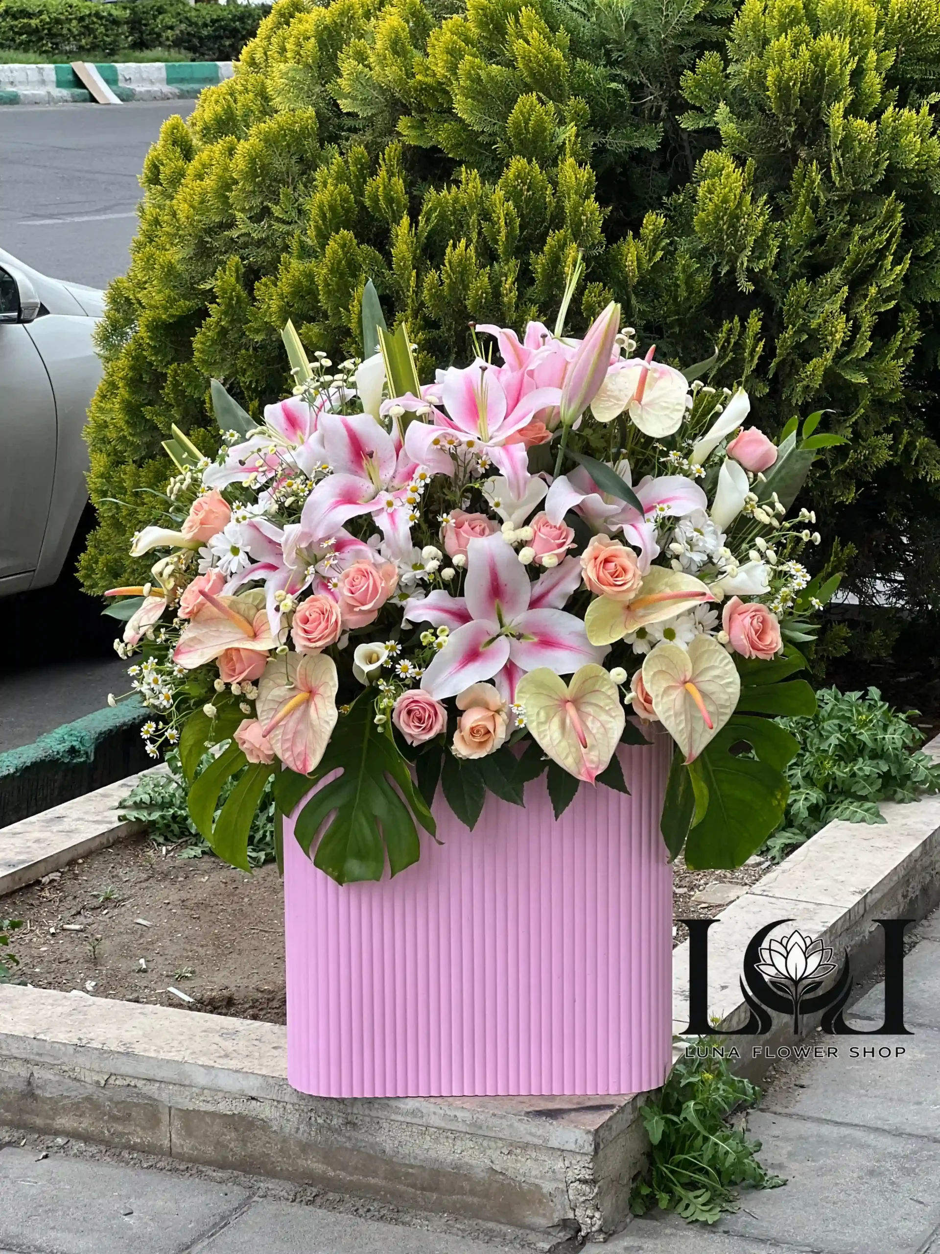 باکس گل BL144