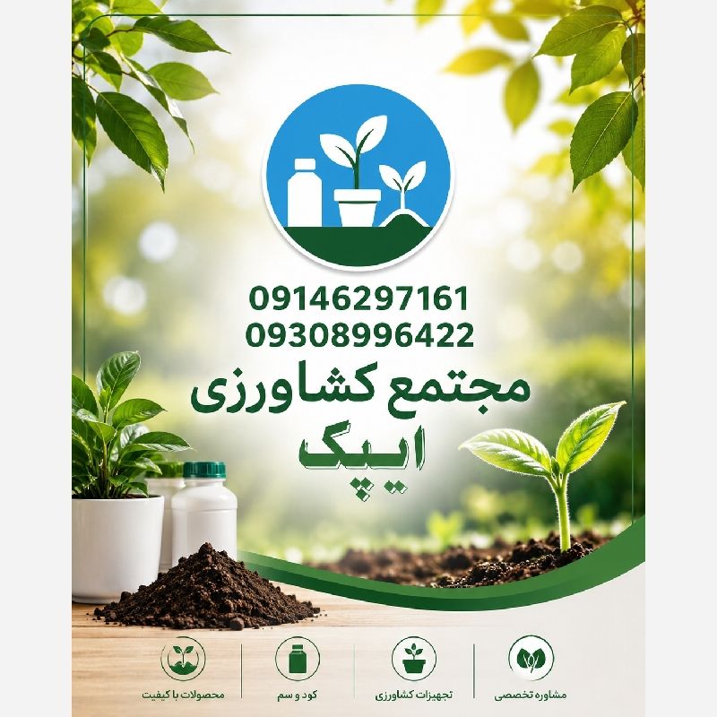 علی علیپور