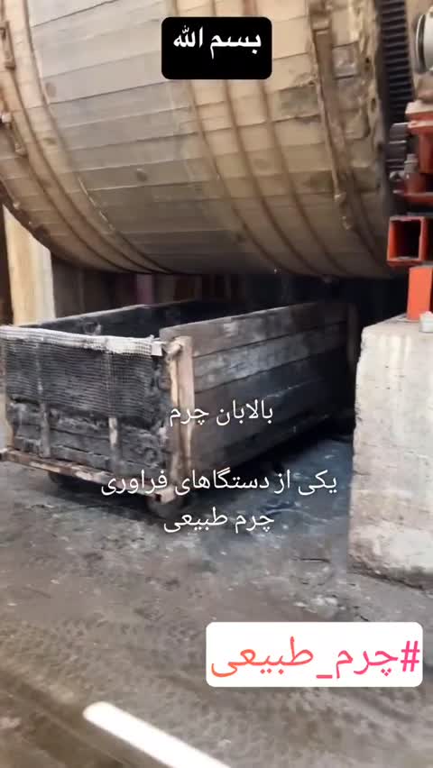 کفش چرم طبیعی زنانه طبی تابستانی از چرم انتخاب
