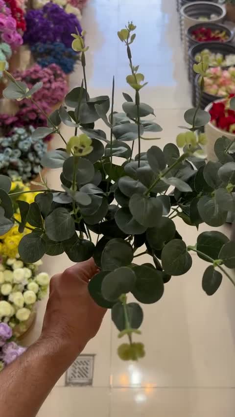 بوته برگ مصنوعی( اکالیپتوس)