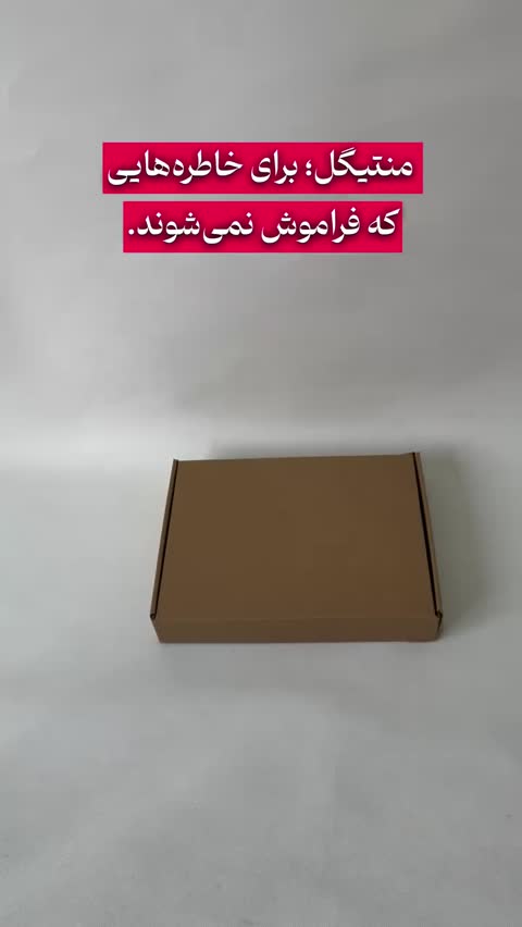 تیشرت مانتیگل فرانسوی قدیمی اصل آستین بلند در رنگبندی