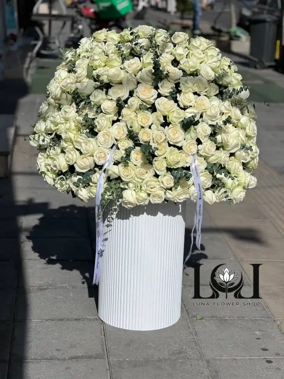 باکس گل رز سفید 150 شاخه