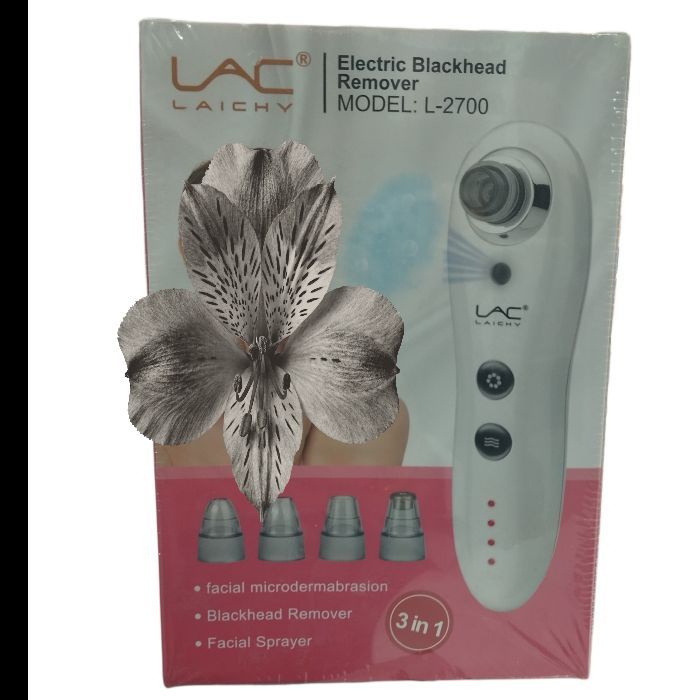 میکرودرم بخاردار حرفه ای سالنی خانگی L2700