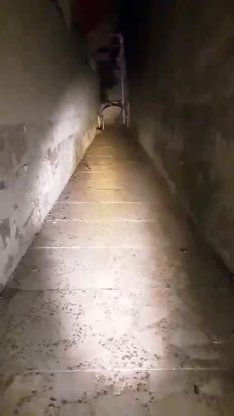 نورافکن شارژی قدرتمند مسافرتی چندمنظوره