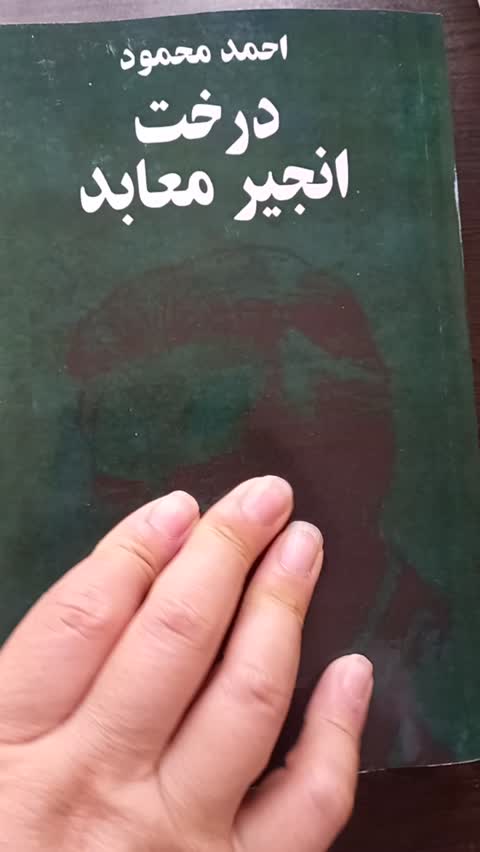  انجیر معابد 2 جلدی احمد محمود انتشارات معین 