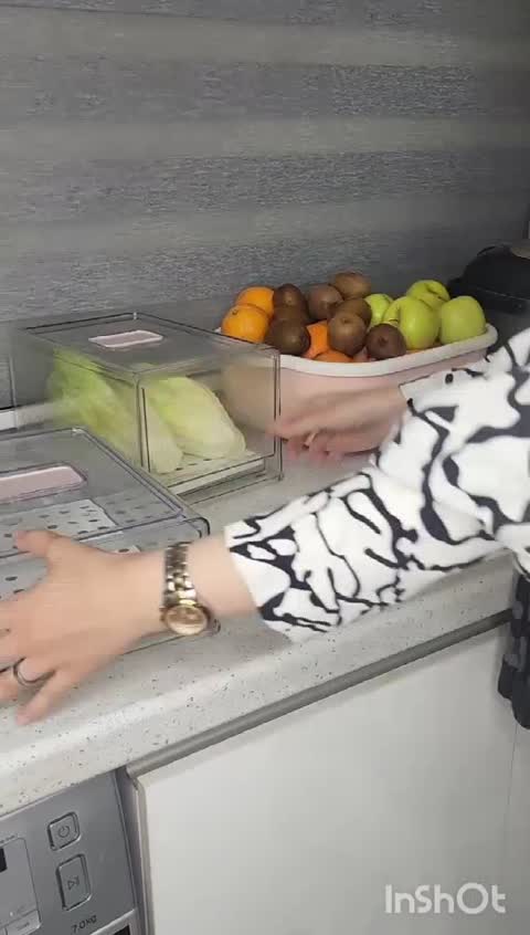نظم دهنده کشویی یخچال