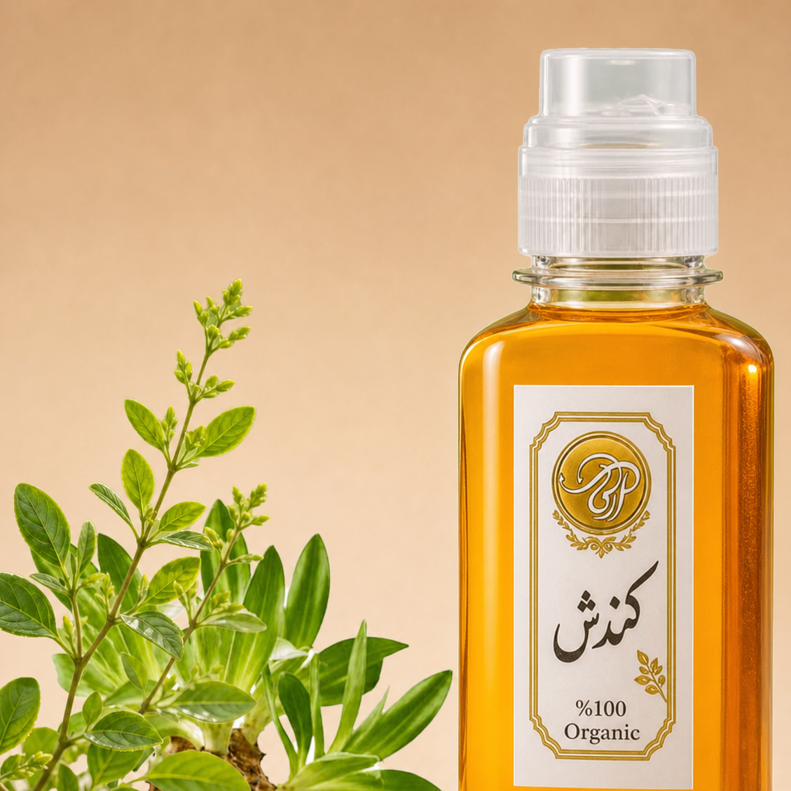 روغن کندش آرکا 120 سی سی تقویت رشد مو، کمک به کاهش ریزش و افزایش ضخامت مو