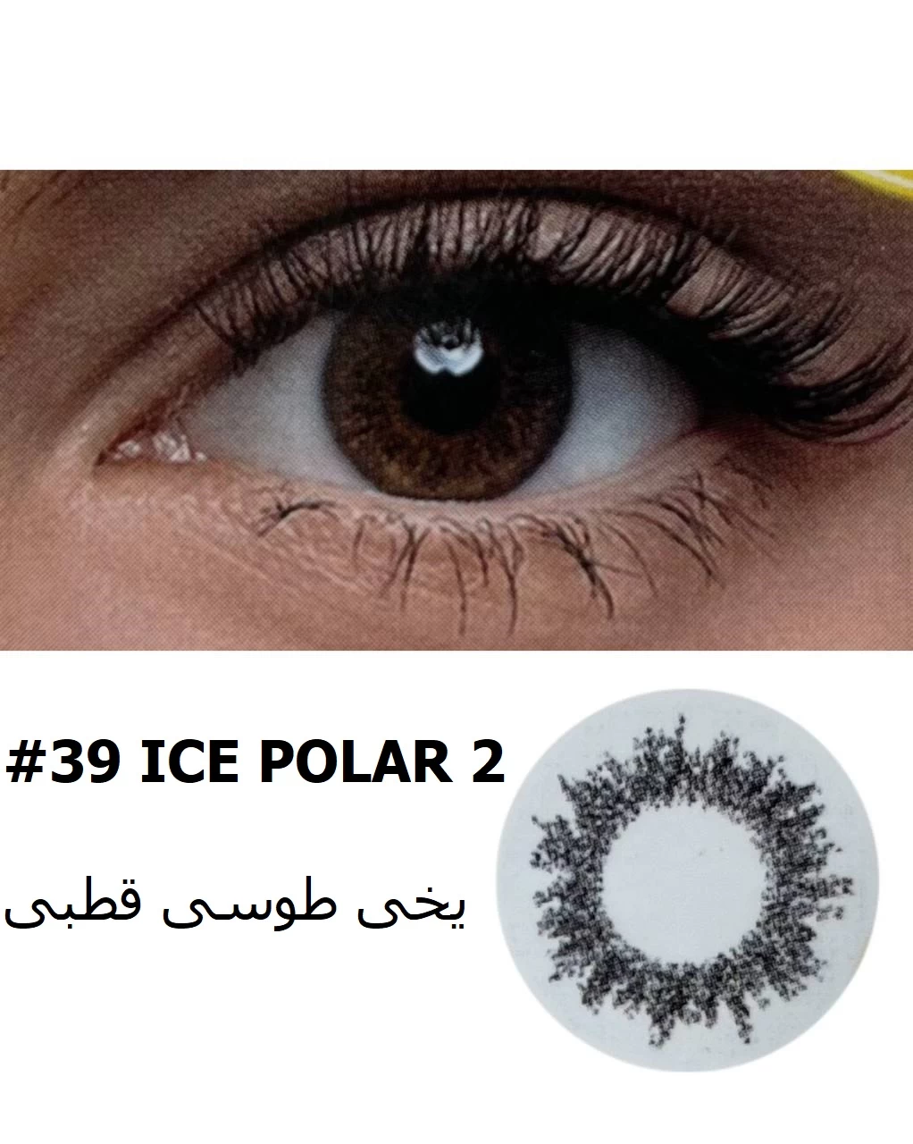 لنز چشم Ice Polar کد 039 مجیک ای - MAGIC EYE
