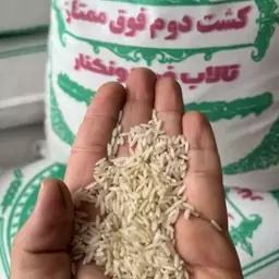 برنج نمونه تستی 5پرسی کشت دوم ممتاز معطر(بالای600گرم)