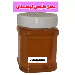 عسل طبیعی کوهستان (نیم کیلویی) خرید از زنبوردار 