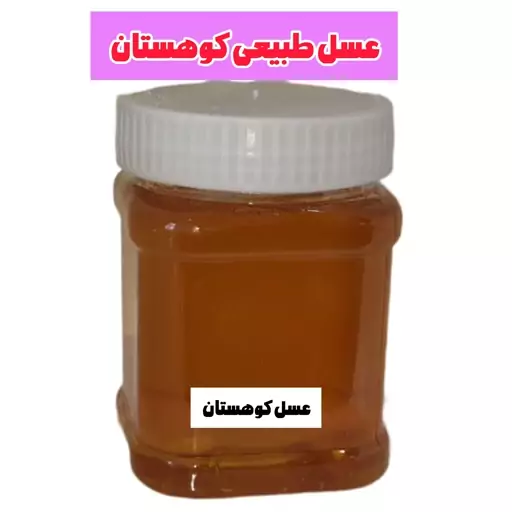 عسل طبیعی کوهستان (نیم کیلویی) خرید از زنبوردار 