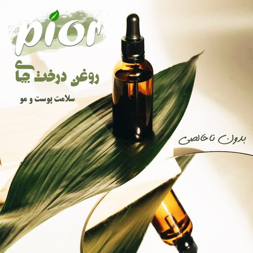 روغن درخت چای پیور ( 30 گرمی) بدون ناخالصی (معطر)- قیمت عمده