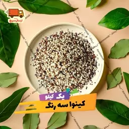 کینوا سه رنگ خارجی درجه 1 بسته یک کیلویی 