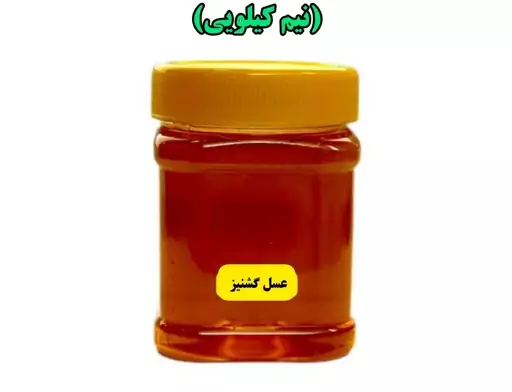 عسل دیابتی گشنیز (نیم کیلویی)