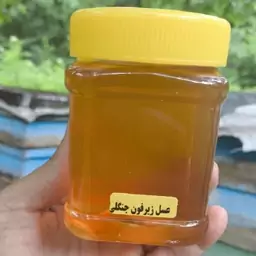 عسل طبیعی زیرفون جنگلی (نیم کیلویی)