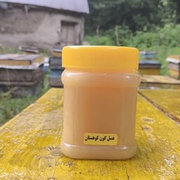 عسل گون رس بسته کوهستان (نیم کیلویی)