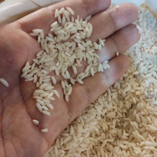 برنج عنبر بو فوق العاده سفید و عطری دیمی 