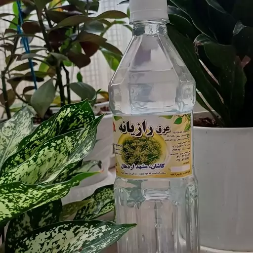 عرق رازیانه